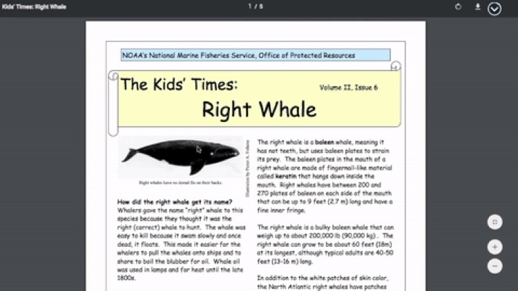 PDF_View_image.jpg